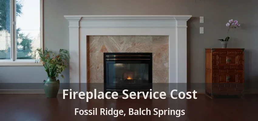 Fireplace Service Cost Fossil Ridge, Balch Springs - TX