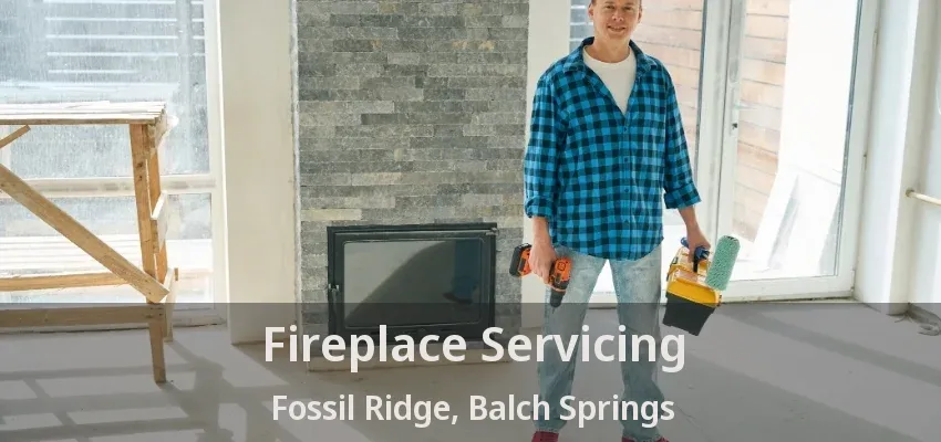 Fireplace Servicing Fossil Ridge, Balch Springs - TX