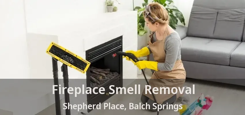 Fireplace Smell Removal Shepherd Place, Balch Springs - TX