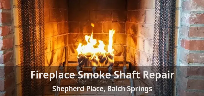 Fireplace Smoke Shaft Repair Shepherd Place, Balch Springs - TX