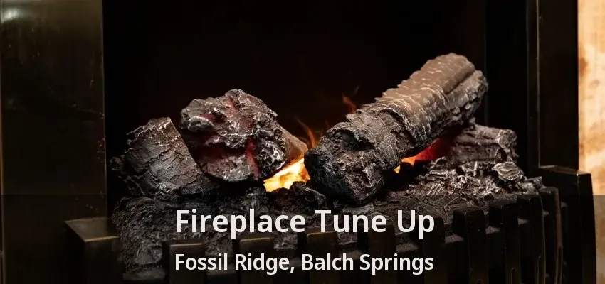 Fireplace Tune Up Fossil Ridge, Balch Springs - TX