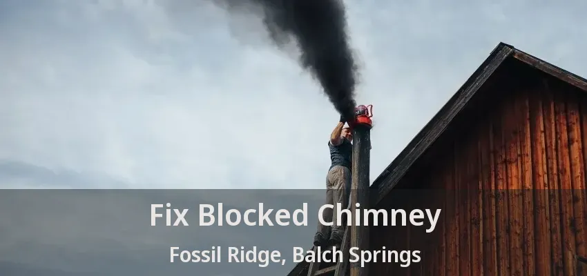 Fix Blocked Chimney Fossil Ridge, Balch Springs - TX