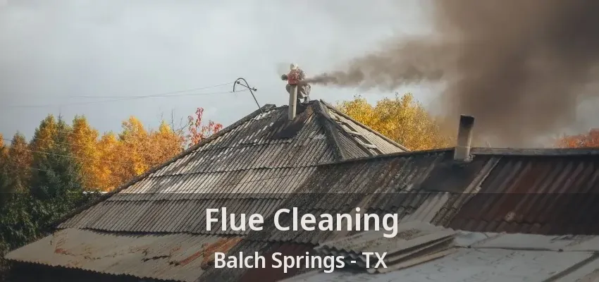 Flue Cleaning Balch Springs - TX