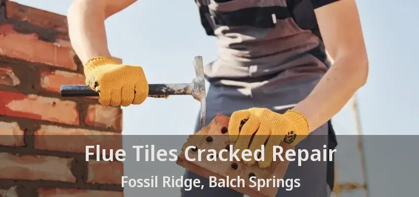 Flue Tiles Cracked Repair Fossil Ridge, Balch Springs - TX