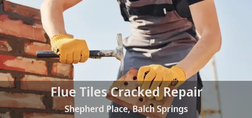 Flue Tiles Cracked Repair Shepherd Place, Balch Springs - TX