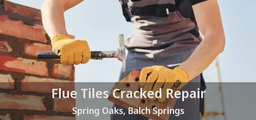 Flue Tiles Cracked Repair Spring Oaks, Balch Springs - TX