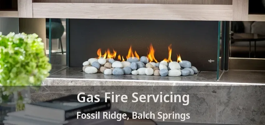 Gas Fire Servicing Fossil Ridge, Balch Springs - TX