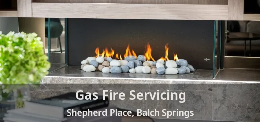 Gas Fire Servicing Shepherd Place, Balch Springs - TX