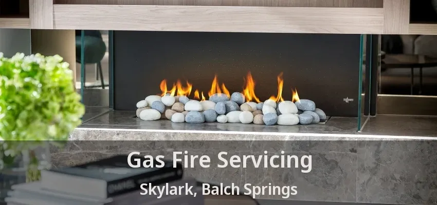 Gas Fire Servicing Skylark, Balch Springs - TX