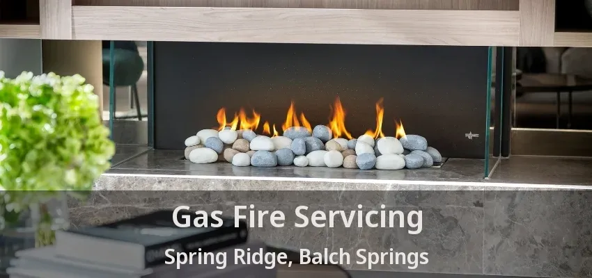 Gas Fire Servicing Spring Ridge, Balch Springs - TX