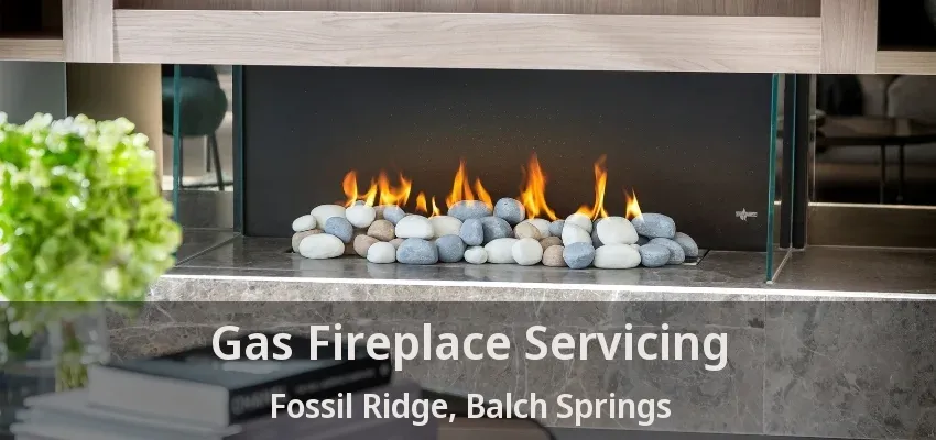 Gas Fireplace Servicing Fossil Ridge, Balch Springs - TX