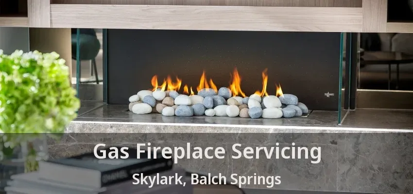 Gas Fireplace Servicing Skylark, Balch Springs - TX