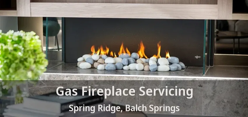 Gas Fireplace Servicing Spring Ridge, Balch Springs - TX