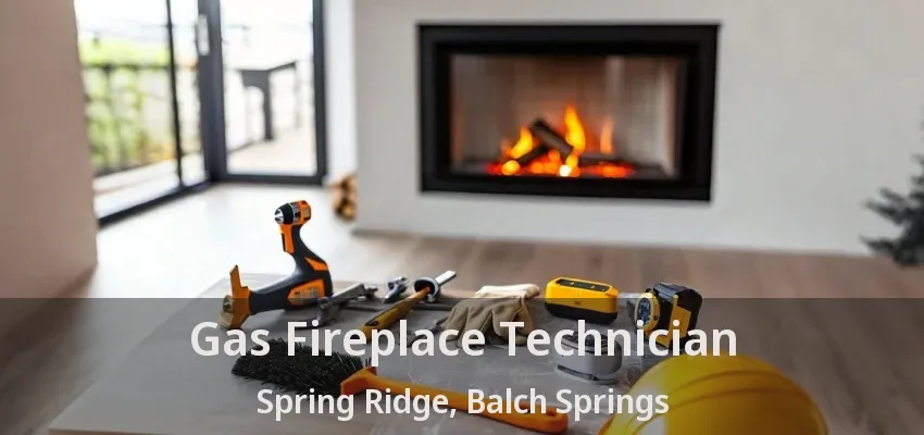 Gas Fireplace Technician Spring Ridge, Balch Springs - TX