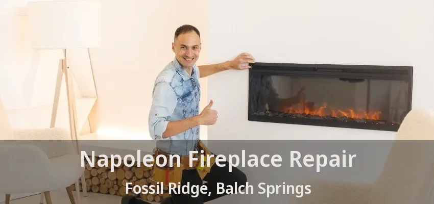 Napoleon Fireplace Repair Fossil Ridge, Balch Springs - TX