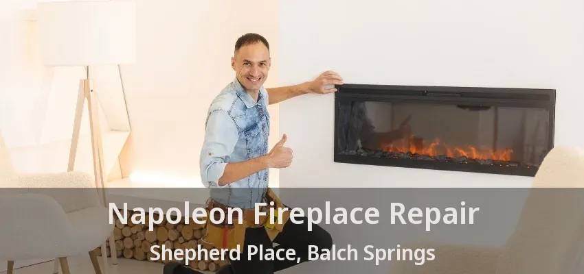Napoleon Fireplace Repair Shepherd Place, Balch Springs - TX