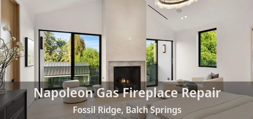 Napoleon Gas Fireplace Repair Fossil Ridge, Balch Springs - TX