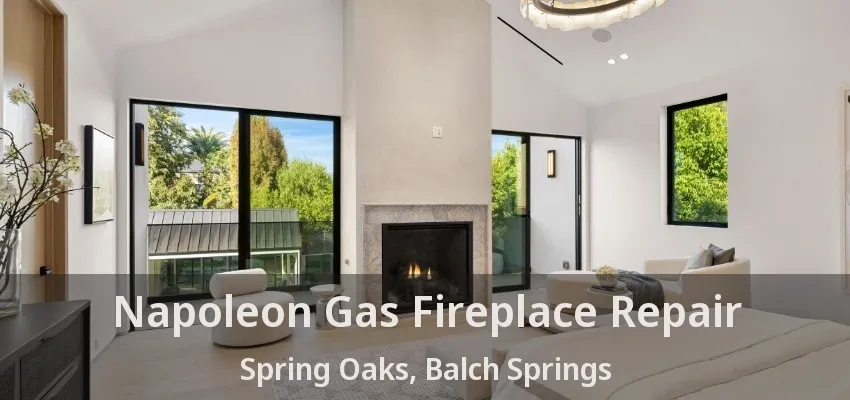 Napoleon Gas Fireplace Repair Spring Oaks, Balch Springs - TX