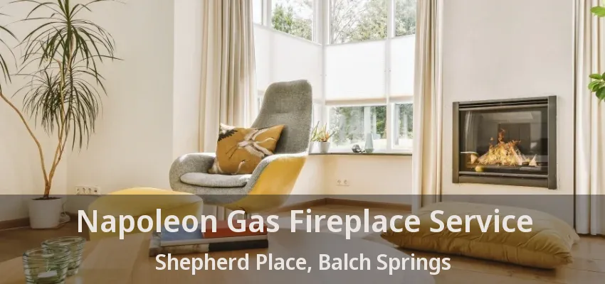 Napoleon Gas Fireplace Service Shepherd Place, Balch Springs - TX