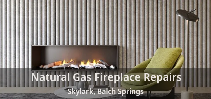 Natural Gas Fireplace Repairs Skylark, Balch Springs - TX