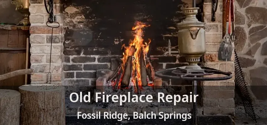 Old Fireplace Repair Fossil Ridge, Balch Springs - TX