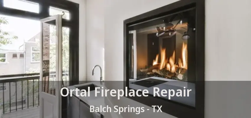Ortal Fireplace Repair Balch Springs - TX
