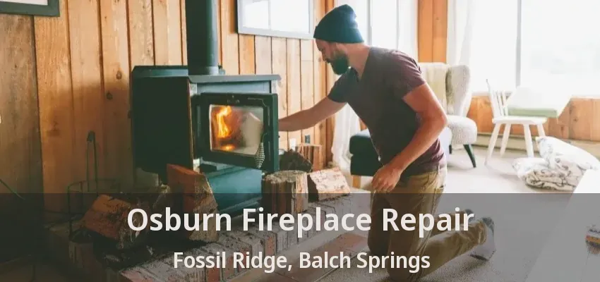 Osburn Fireplace Repair Fossil Ridge, Balch Springs - TX
