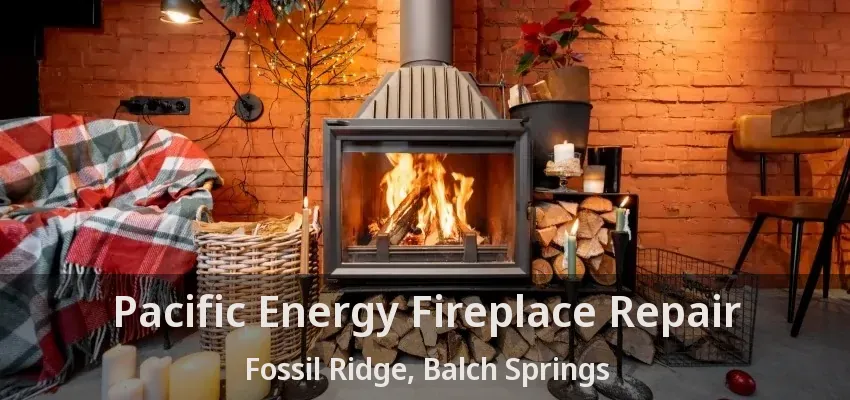Pacific Energy Fireplace Repair Fossil Ridge, Balch Springs - TX