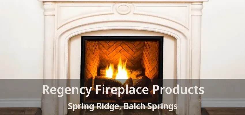 Regency Fireplace Products Spring Ridge, Balch Springs - TX