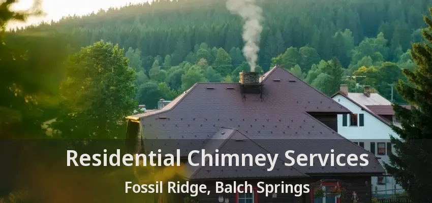 Residential Chimney Services Fossil Ridge, Balch Springs - TX