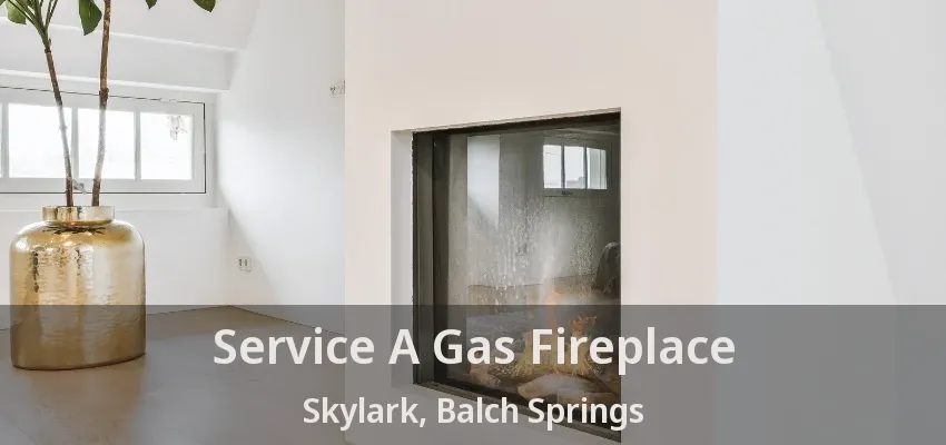 Service A Gas Fireplace Skylark, Balch Springs - TX