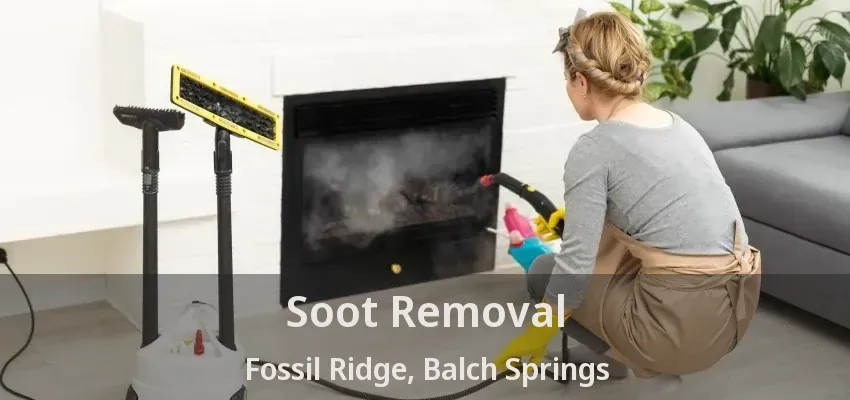 Soot Removal Fossil Ridge, Balch Springs - TX