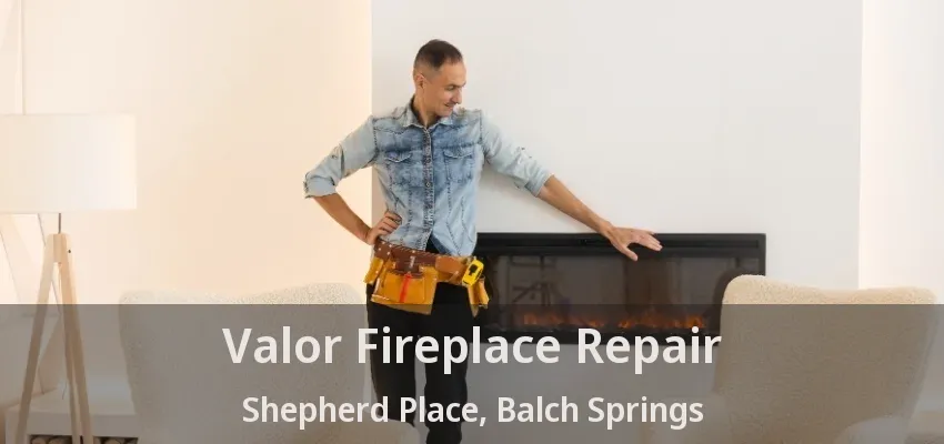 Valor Fireplace Repair Shepherd Place, Balch Springs - TX