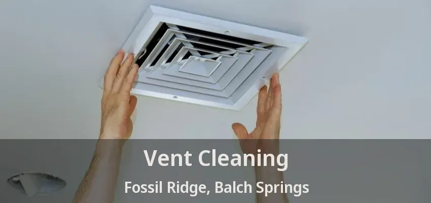 Vent Cleaning Fossil Ridge, Balch Springs - TX