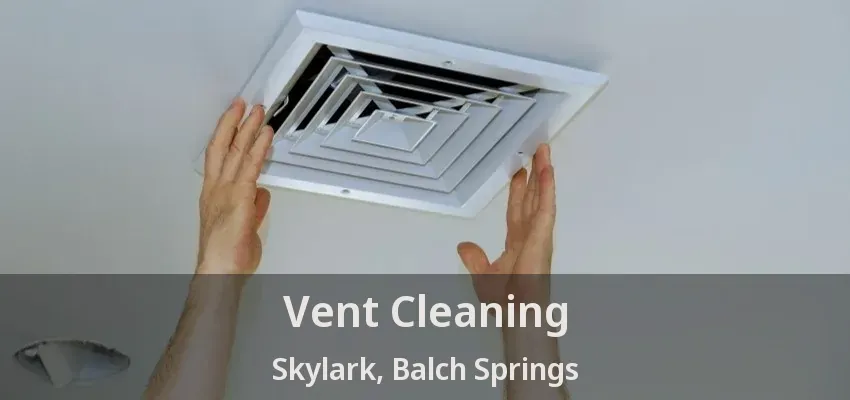 Vent Cleaning Skylark, Balch Springs - TX
