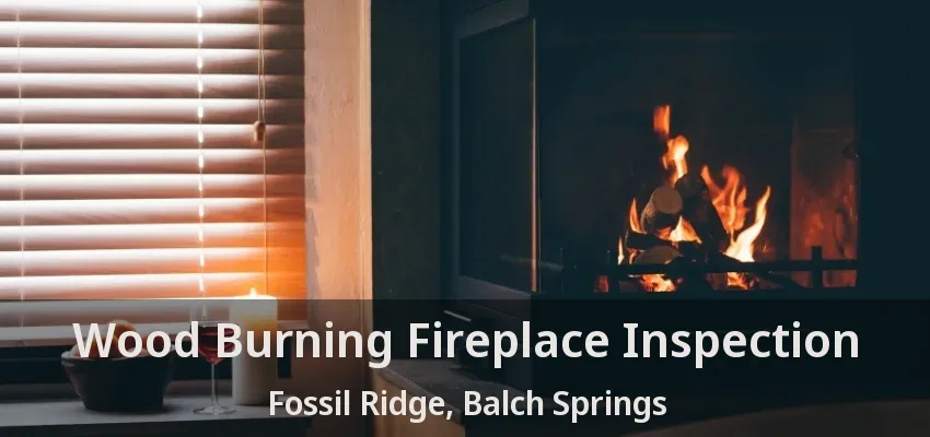 Wood Burning Fireplace Inspection Fossil Ridge, Balch Springs - TX