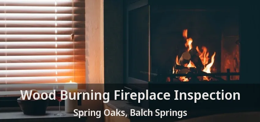 Wood Burning Fireplace Inspection Spring Oaks, Balch Springs - TX
