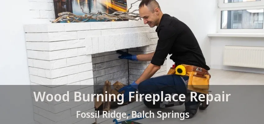Wood Burning Fireplace Repair Fossil Ridge, Balch Springs - TX