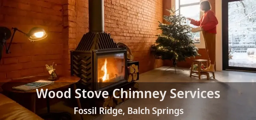 Wood Stove Chimney Services Fossil Ridge, Balch Springs - TX