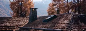 Chimney Animal Removal Balch Springs
