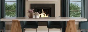 Heatilator Fireplace Repair Balch Springs