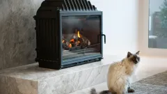 Wood Burning Fireplace Repair Balch Springs